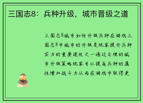 三国志8：兵种升级，城市晋级之道