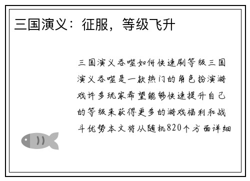 三国演义：征服，等级飞升