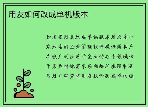 用友如何改成单机版本
